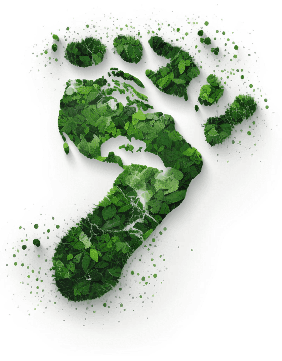 co2 footprint